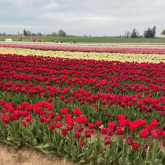 Meet your Posher, Ambassador J - Picture 9 of 9